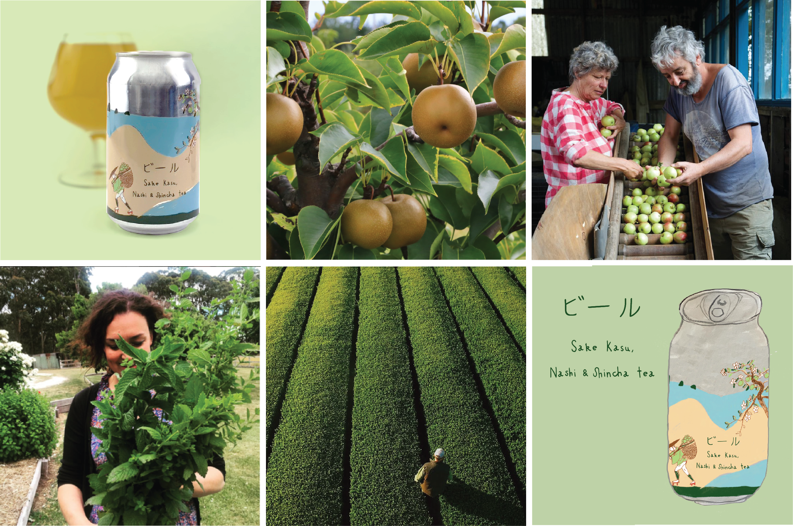 Biru Sake Kasu ~ Nashi pear & Shincha Tea