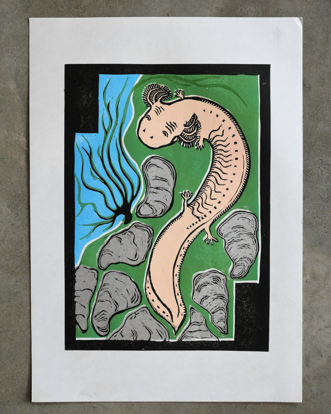Linocut art print of a salamander on a green background with rocks and water, framed in black.