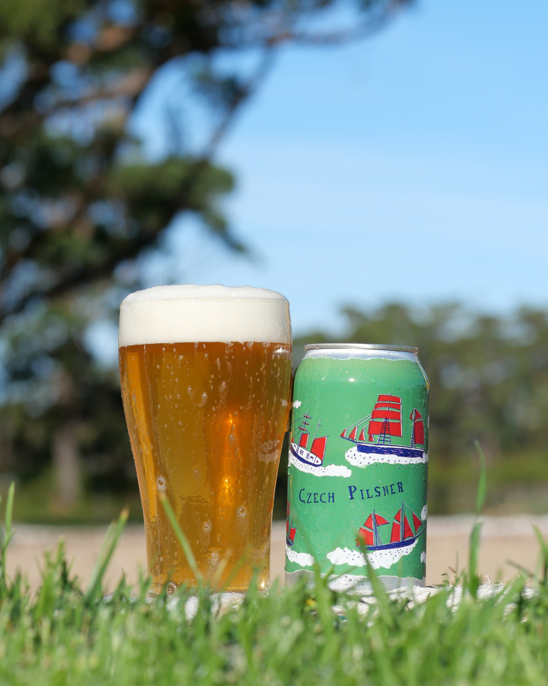 Czech Pilsner